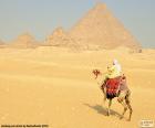 Μια καμήλα μπροστά από τις πυραμίδες, ταφικά μνημεία της Αρχαίας Αιγύπτου